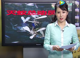 幫助困難家庭義務滅蟲服務