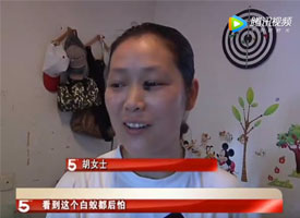 幫助困難家庭義務滅蟲服務