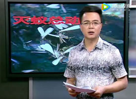 幫助困難家庭義務滅蟲服務